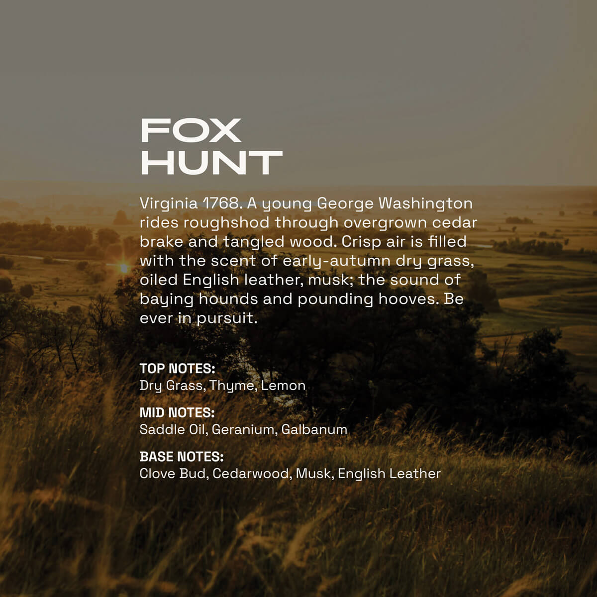Fox Hunt Eau de Parfum fragrance profile over a Virginia countryside, with notes of dry grass, thyme, lemon, saddle oil, geranium, galbanum, clove bud, cedarwood, musk, and English leather.